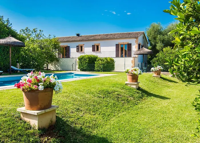 Polito Can Picafort (Mallorca)