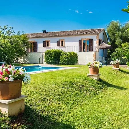 Polito Can Picafort (Mallorca)