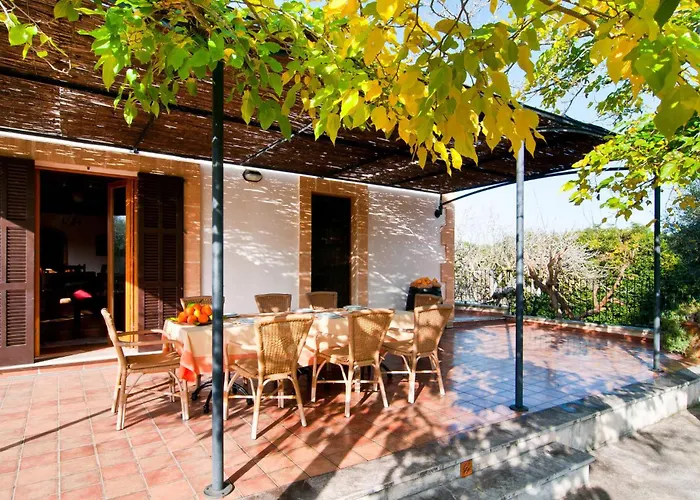 Polito * Can Picafort (Mallorca)