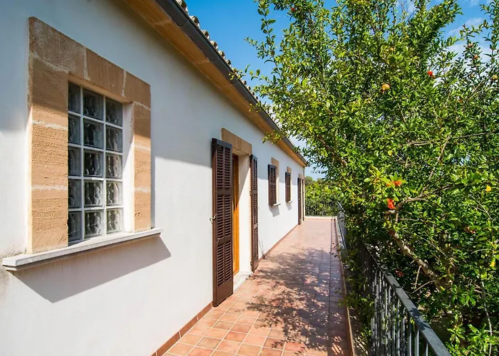 Polito Can Picafort (Mallorca)